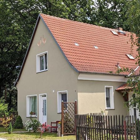 Helenes Ferienwohnung Auf Dem Bauernhof - Lausitzer Seenland Lauta المظهر الخارجي الصورة