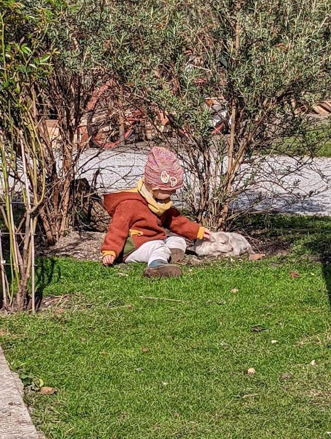 Helenes Ferienwohnung Auf Dem Bauernhof - Lausitzer Seenland Lauta المظهر الخارجي الصورة