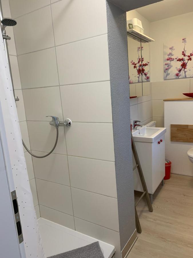 Helenes Ferienwohnung Auf Dem Bauernhof - Lausitzer Seenland Lauta المظهر الخارجي الصورة